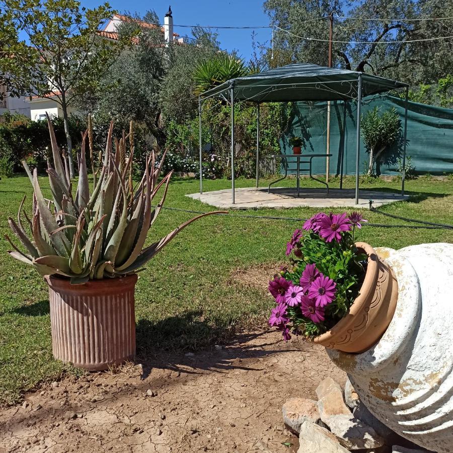 Itea'S Garden House Villa Kirra Exterior photo